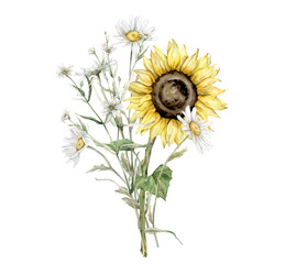 Watercolor bouquet of daisy and sunflower flowers. Watercolor hand drawing illustration on isolated white background. White and yellow botanical plants. Composition from summer meadow, forest flowers.