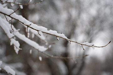 Winter Mood cold episode
