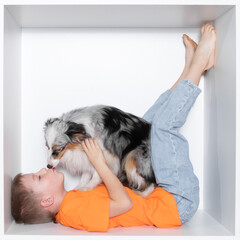 A handsome boy lies on his back. A Scottish Shepherd licks a boy's face. Child and home beautiful dog on a white background. Child and animal. Collie is white with blue eyes.
