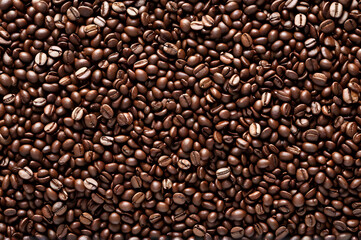 Fototapeta premium Roasted coffee beans background, texture with copy space