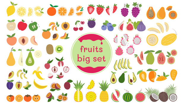 Fruit and berries illustrations pack in flat design. Big set of fruit for stickers in simple style.