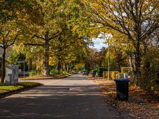 Colorful Fall in Langenhorn 