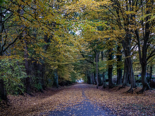 Fall in Hamburg Langenhorn