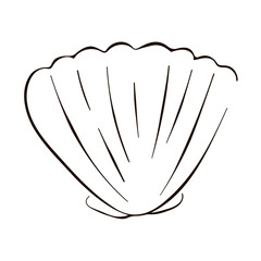 Scallop undersea seashell in line art style. Summer design for logo, icon, shirt, products. Vector illustration isolated on a white background.