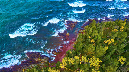 Aerial Top Down Autumn Coastline and Forest at Lake Superior