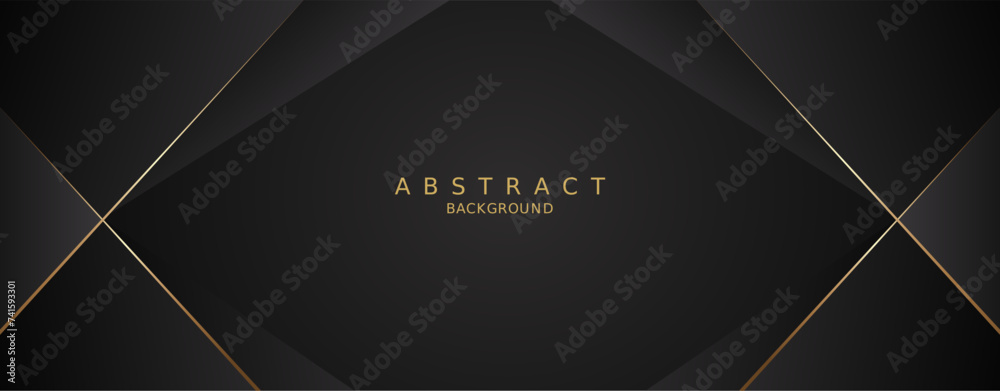 Wall mural luxury premium black background and gold lines - Wall murals
