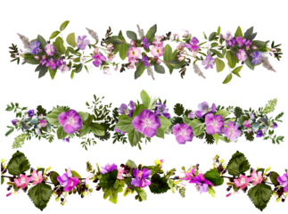 Seamless horizontal borders of colorful flowers and greenery, isolated on transparent background