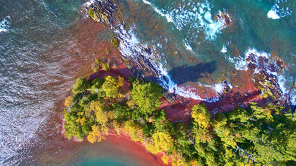 Aerial Top Down Autumn Coastal Foliage and Turquoise Waters of Lake Superior