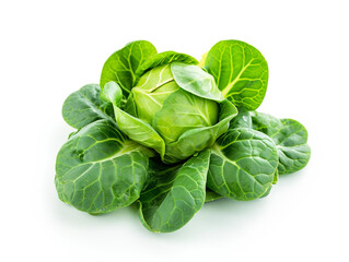 Brussels sprouts isolated on a white background. Minimalist style.