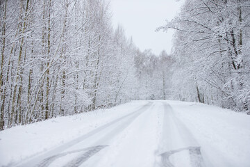 Fototapeta premium Winter forest landscape with a road going into the distance.