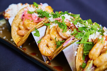 Gourmet Shrimp Taco with Fresh Garnishes, Overhead View