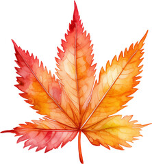 Cannabis plant leaf watercolor painting isolated on transparent background.