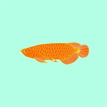 Design vector of an arowana fish