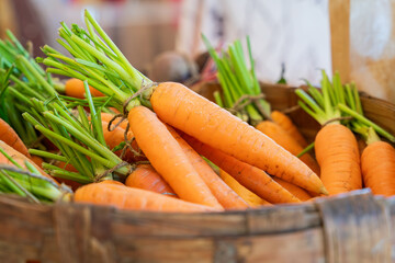 Fresh organic carrots. Bunch of carrots in basket. Fresh carrots bunch. 