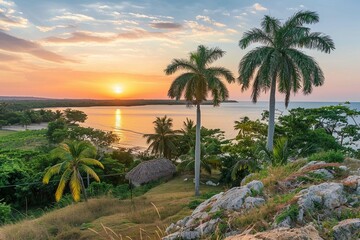 Fototapeta premium palm trees on the beach at sunset