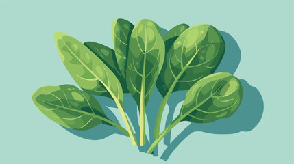 Spinach vector flat minimalistic isolated vector