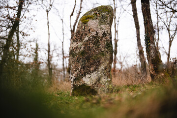 Langer Stein, Obermoschel (Februar 2024)