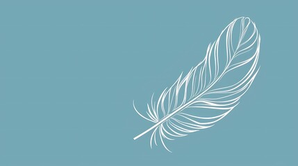 bird feathers background pattern, banner, wings background picture, seamless background