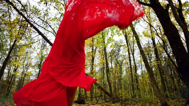 The forest comes to life as a ballerina dances in the autumn beauty. Her body is given to movement, like trees dancing to the gentle whisper of the wind. 
