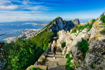 Girl hiking on mountain path in Gibraltar - obrazy, fototapety, plakaty