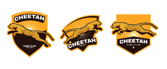 cheetah sport logo