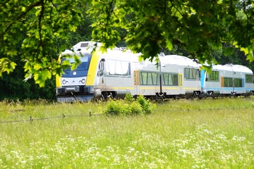 The locomotive of the train moves through the edge of the forest.