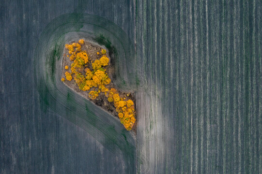 Aerial view of Lipetsk countryside, Yarlukovsky, Tula Oblast, Russia.