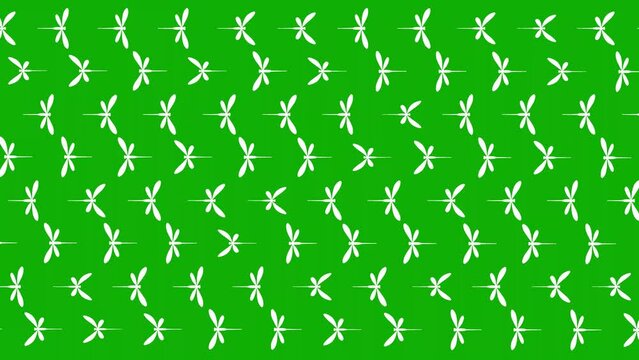 Moving dragonflies pattern on green screen background