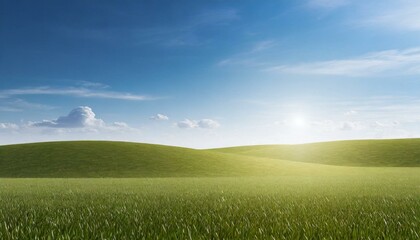 Fototapeta premium Landscape view of green grass field with blue sky background 