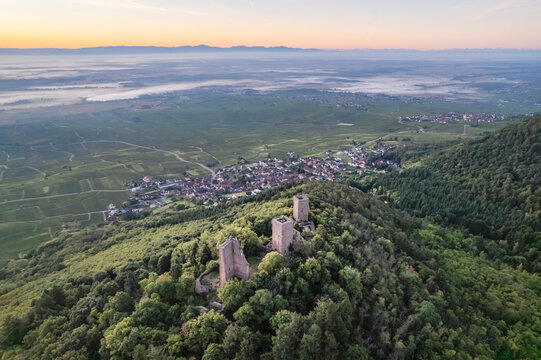 Aerial drone view of Three Castles of Eguisheim between green nature, Husseren les Châteaux, Haut Rhin, France.