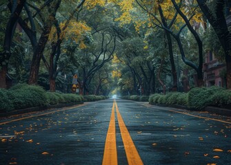 a yellow line that is drawn down the middle of a road with green trees, in the style of precisionist lines, glazed surfaces, rural china, dark gray and white, auto body works, intersecting planes - obrazy, fototapety, plakaty