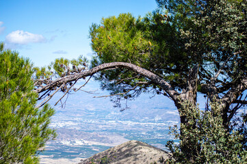 Panoramic view on Mediterranean sea and surrounding cities from Mijas peak, Andalusia, Malaga, Spain