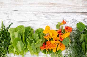 Edible greenery and orange flowers nasturtium on a wooden background. top view and copy space.