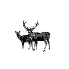 line sketch of antelope with transparent background