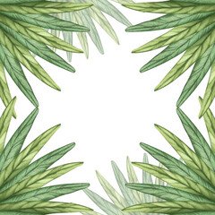 Square frame made of tropical branches. Palm leaves. Watercolor illustration of greenery. For design of card, label, packaging, invitation, background, banner