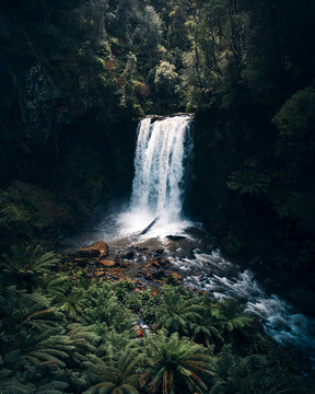 Aerial drone view of the victorian forest and waterfall in the Great Otway National Park, Victoria, Australia.