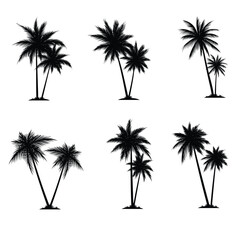 Fototapeta premium Palm tree coconut silhouette element set collection