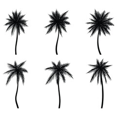 Palm tree coconut silhouette set collection