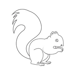 Squirrel icon