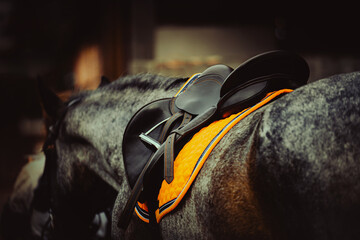 On a dark evening, a grey horse is seen wearing a leather saddle, with an orange saddlecloth. This...