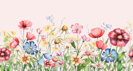 Watercolor wild flowers field illustration. Seamless floral field banner with hand painted aquarelle various flowers