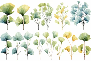 Poster set of different trees painted by watercolor, vector illustration © Tanjil Hasnat