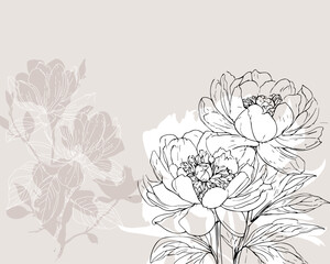 Floral Background with abstract peonies and magnolia flowers illustrations - 741705379