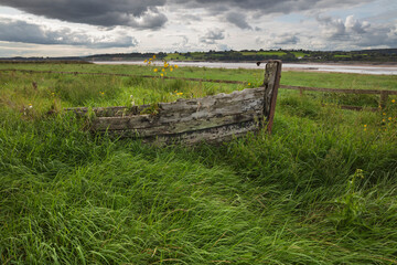 Rotting wooden hull of ship driven into the riverbank of the River Severn to avoid erosion at the...