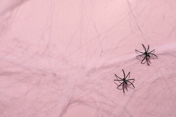 Cobweb and spiders on pink background, top view