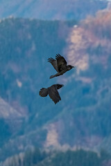 Sonnenaufgang Hochlantsch - Almenland - Teichalm