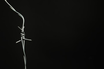 Metal barbed wire on black background. Space for text