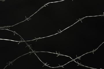 Shiny metal barbed wire on black background