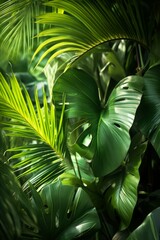 Close-up of lush green tropical leaves