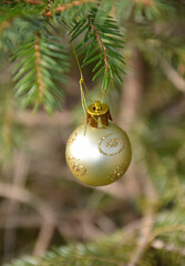 Goldene Weihnachtskugel im Wald  - 741719982